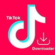 TikTok Downloader
