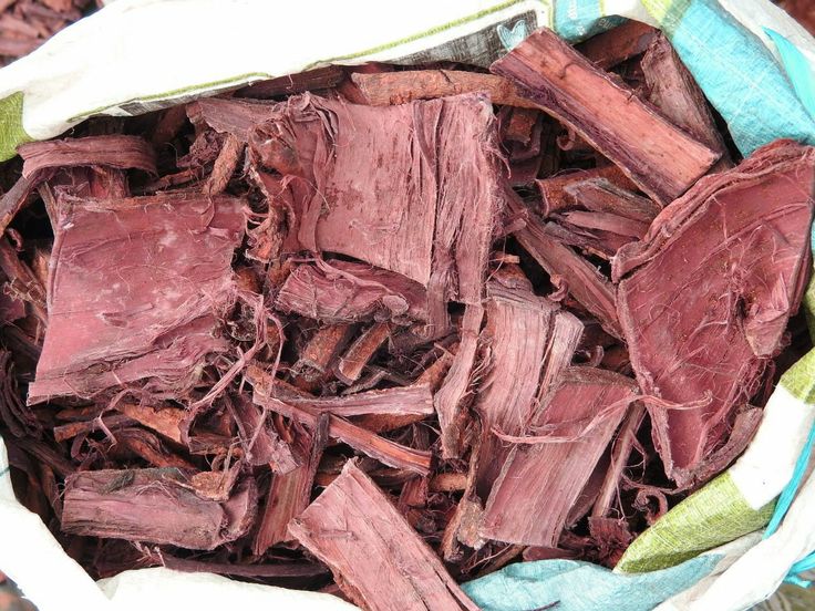 Hostilis Root Bark