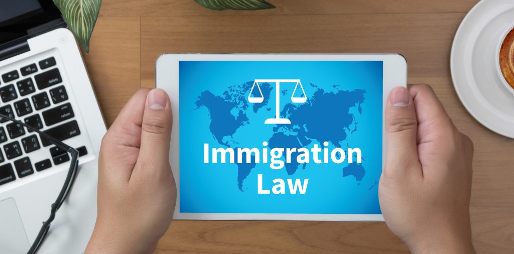 Immigration Lawyer
