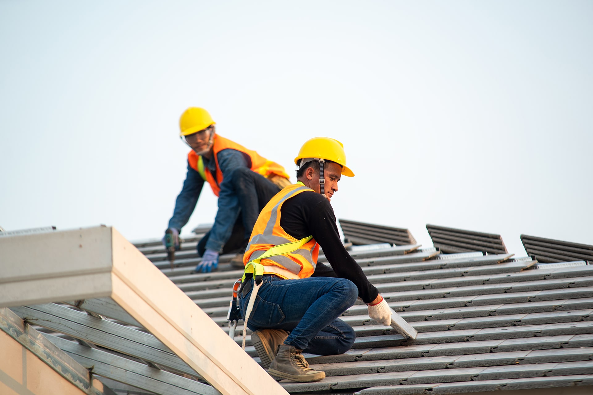 Roof Care Supports