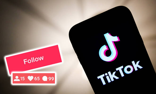 TikTok Followers 