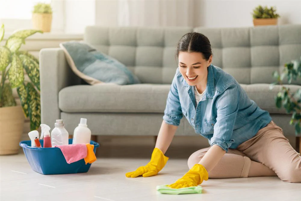 Professional Cleaning Experts